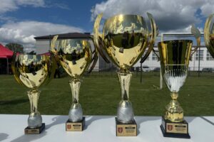 Miniaturka artykułu ZAWODY SPORTOWO-POŻARNICZE W NIEDŹWIADZIE